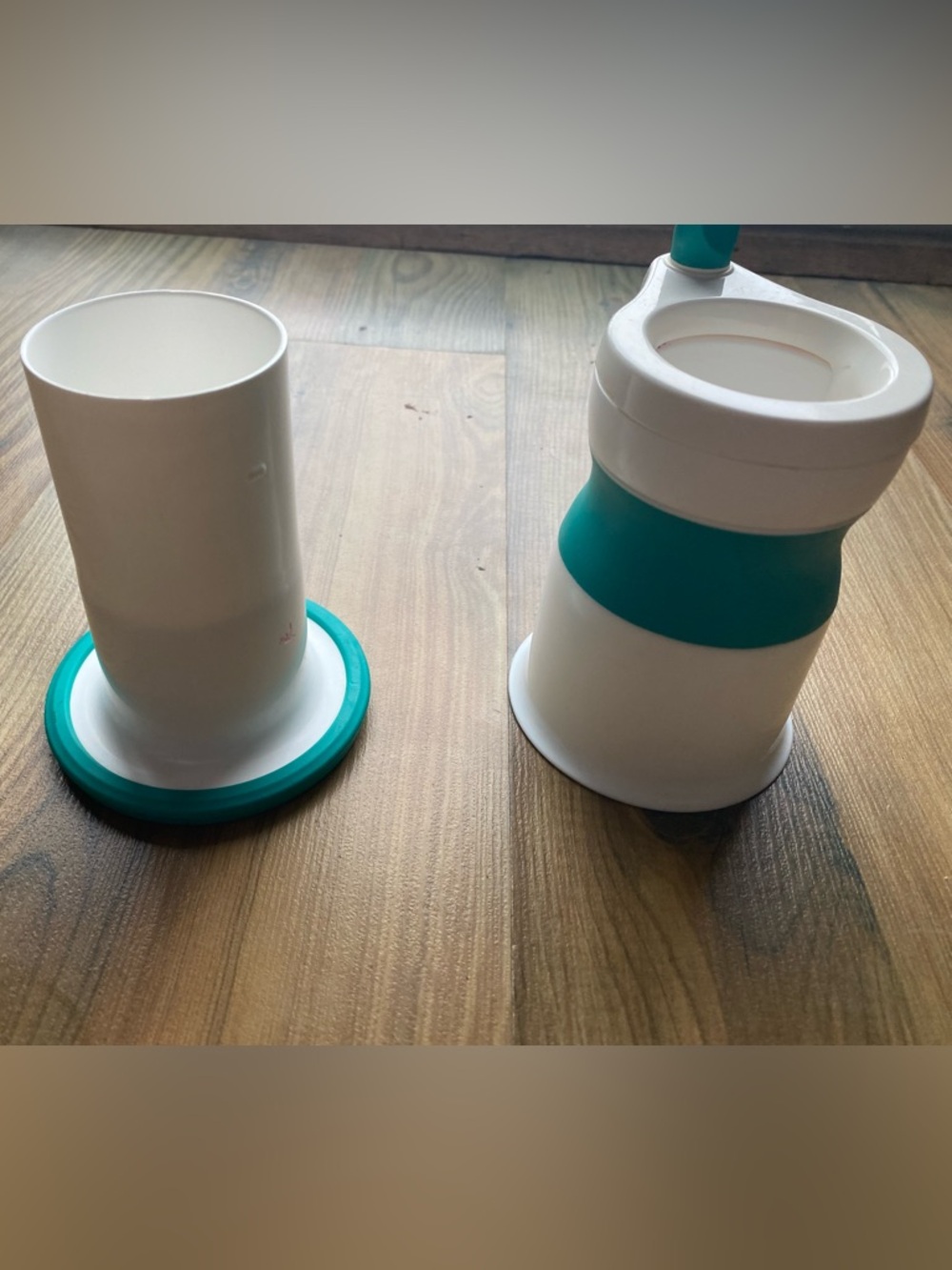 White and Teal Two-Piece baby food maker